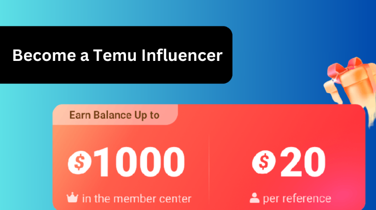 Temu Influencer Program